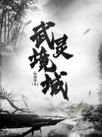 武灵境域