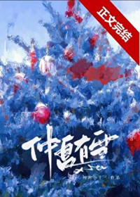 仲夏有雪[先婚后爱]